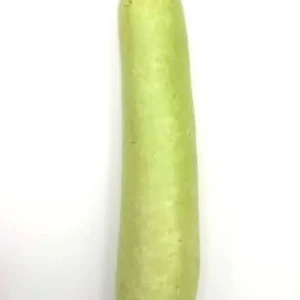 1.9 - 2.2lbs - Winter Melon
