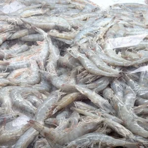 Fresh Head-On Shrimp Raw, 1lb
