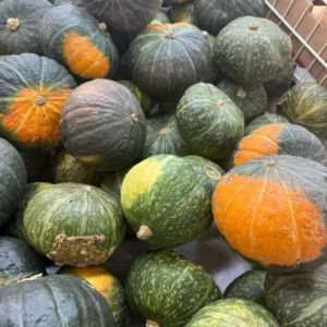 1 - 1.5lb - Kabocha Squash