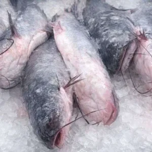 Fresh Whole Catfish (5lbs)
