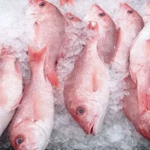 Cleaned Fresh Red Tilapia (1 piece)