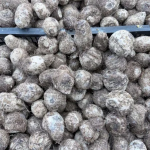 1lb Small Taro Root