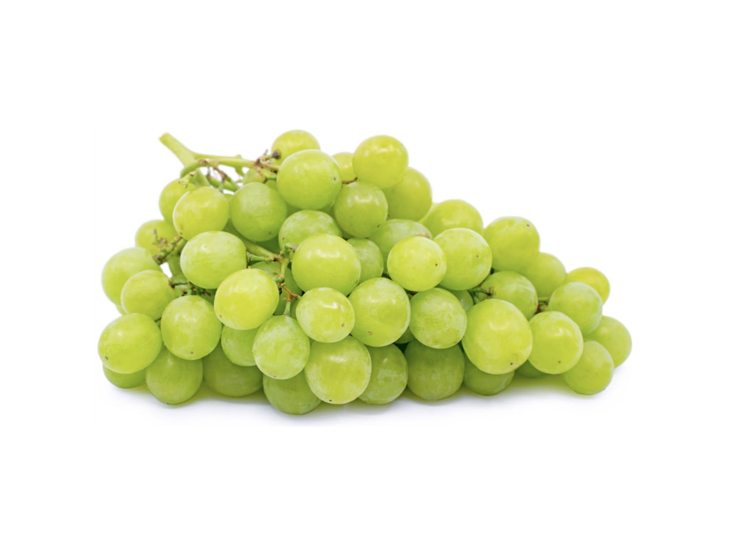 tastydaily-0905684796.jpg