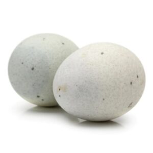 Duck Eggs x 6 Units